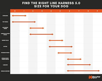 Non-stop dogwear Line Harness 5.0 Hundegeschirr Y-Geschirr aus Nylon Orange Größe 4 – Bild 1 von 9