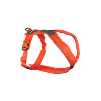 Produktbild von Non-stop dogwear Line Harness 5.0 Hundegeschirr Y-Geschirr aus Nylon Orange Mini