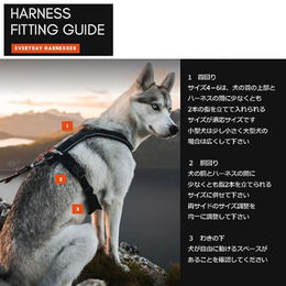 Non-stop dogwear Line Harness 5.0 Hundegeschirr Y-Geschirr aus Nylon Schwarz Größe G 4 – Bild 1 von 5