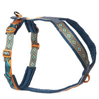 Produktbild von Non-stop dogwear Line Harness 5.0 Rachel Pohl Edition Hundegeschirr Größe 2 Teal/Oak