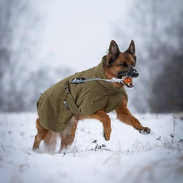 Produktbild von Non-stop dogwear Line Harness Grip Defense Geschirr Olive Grün Größe 6