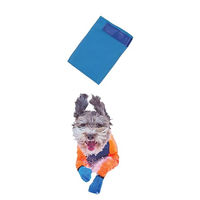 Produktbild von Non-stop dogwear Long Distance Booties Pfotenschuhe für Hunde Blau Größe M