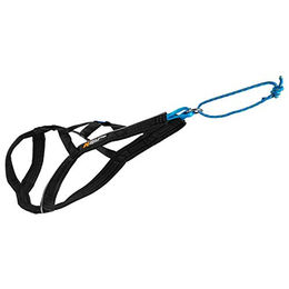 Non-stop dogwear Nansen Nome Harness 5.0 Sportgeschirr für Hunde Schwarz Größe 6 – Bild 1 von 5