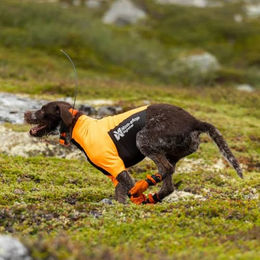 Non-stop dogwear Protector Half Suit Technisches Hundet-Shirt Orange-Schwarz Reflektierend Größe S – Bild 1 von 5