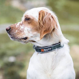 Non-stop dogwear Roam Collar Hundehalsband aus Nylon Grün Größe XS – Bild 1 von 2