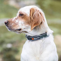 Produktbild von Non-stop dogwear Roam Collar Hundehalsband aus Nylon Grün Größe XS