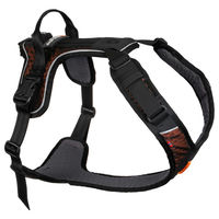 Produktbild von Non-stop dogwear Rock Harness Mini Y-Geschirr für Hunde aus Nylon in Schwarz oder Bunt Größe XS wasserabweisend