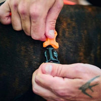 Produktbild von Non-stop dogwear Rush Harness Sportgeschirr für Hunde aus Nylon in Schwarz/Orange Größe 8