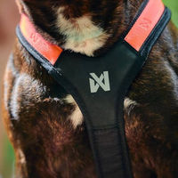 Produktbild von Non-stop dogwear Rush Harness Sportgeschirr für Hunde Schwarz/Orange Größe 6