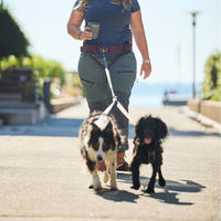 Produktbild von Non-stop dogwear Trekking-Belt 2.0 Hundegeschirr Schwarz Grau Größe S aus Polyester bluesign approved