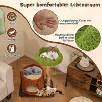 Produktbild von Northio Kratzbaum für Katzen mit Katzenhöhle in Baumlochform aus Holz Braun Grün 60 x 46 x 73 cm