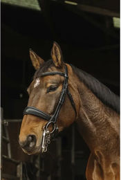 Produktbild von Norton Basal Anatomisch geformter Reizäum für Vollblut in Schwarz aus Leder