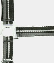 Produktbild von Norton Brillant Halfter aus Nylon für Vollblut in Schwarz