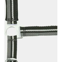 Produktbild von Norton Brillant Halfter aus Nylon für Vollblut in Schwarz