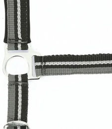 Produktbild von Norton Brillant Halfter aus Nylon in Rosa oder Schwarz
