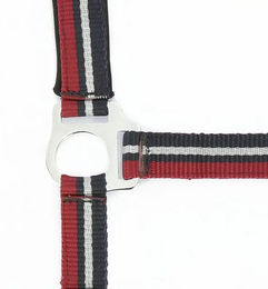 Produktbild von Norton Brillant Halfter aus Nylon in Rot oder Bunt für Pferde