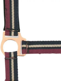 Produktbild von Norton Brillant Halfter für Ponys aus Nylon in Lila und Bunt
