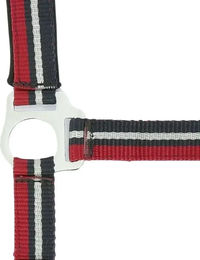 Produktbild von Norton Brillant Halfter für Ponys aus Nylon in Rot oder Bunt