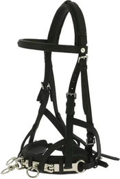 Produktbild von Norton Caveçon für Pferde aus Leder in Schwarz