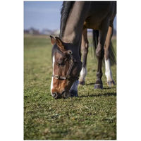Produktbild von Norton Club Cuir Halfter für Ponys aus Leder in Braun