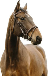 Produktbild von Norton Club Deco Trense aus Leder für Vollblut in Schwarz und Weiß