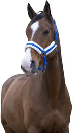 Norton Comfort Gepolstertes Pferdehalfter aus Polyester in Blau für Warmblut – Bild 1 von 2