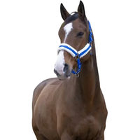 Produktbild von Norton Comfort Gepolstertes Pferdehalfter aus Polyester in Blau für Warmblut