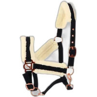 Produktbild von Norton Comfort Gepolstertes Shetty Halfter aus Polyester
