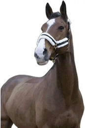 Produktbild von Norton Comfort Gepolstertes Shetty Halfter aus Polyester Schwarz