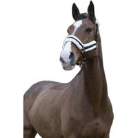 Produktbild von Norton Comfort Gepolstertes Shetty Halfter aus Polyester Schwarz