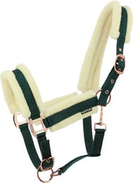 Norton Comfy Pferd Halfter aus Kunstleder in Grün – Bild 1 von 1