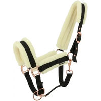 Produktbild von Norton Comfy Pferdehalfter aus Kunstleder in Schwarz oder Beige