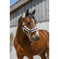 Produktbild von Norton Cosy Pferd Halfter aus Kunststoff in Blau für Vollblut