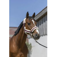 Produktbild von Norton Cosy Pferd Halfter aus Kunststoff in Rot