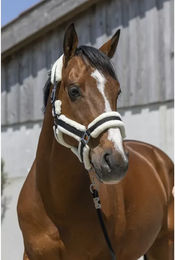 Produktbild von Norton Cosy Pferd Halfter aus Kunststoff in Schwarz