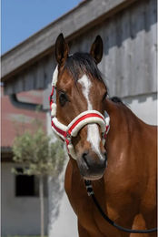 Produktbild von Norton Cosy Pferdehalfter für Ponys aus Kunststoff in Rot-Weiß