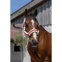 Produktbild von Norton Cosy Pferdehalfter für Ponys aus Kunststoff in Rot-Weiß
