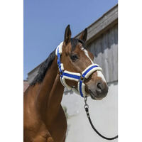 Produktbild von Norton Cosy Pferdehalfter für Ponys in Blau mit Silber aus Kunststoff
