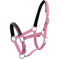 Produktbild von Norton Crystal Pferd Halfter aus Kunststoff in Rosa Full