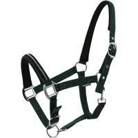 Produktbild von Norton Crystal Pferdehalfter für Ponys in Grün aus Kunststoff