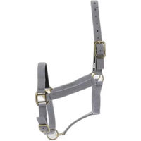 Produktbild von Norton Doppelhalfter aus Leder für Ponys