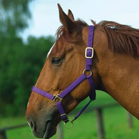 Produktbild von Norton Doppelhalfter aus Leder für Ponys