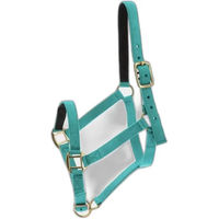 Produktbild von Norton Doppelhalfter aus Leder für Ponys