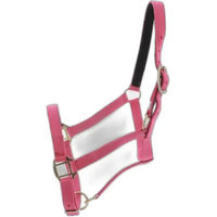Produktbild von Norton Doppelhalfter aus Leder für Ponys
