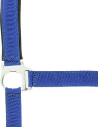 Produktbild von Norton Doppelhalsband Neopren für Ponys in Blau