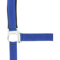 Produktbild von Norton Doppelhalsband Neopren für Ponys in Blau