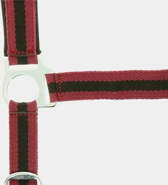 Produktbild von Norton Doppelhalsband Neopren für Ponys in Rot