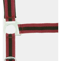 Produktbild von Norton Doppelhalsband Neopren für Ponys in Rot