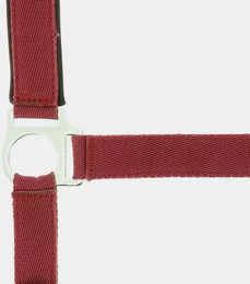 Produktbild von Norton Doppelhalsband Neopren für Ponys in Rot