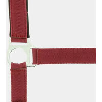 Produktbild von Norton Doppelhalsband Neopren für Ponys in Rot